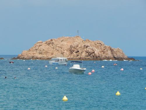 DSCN5517.JPG