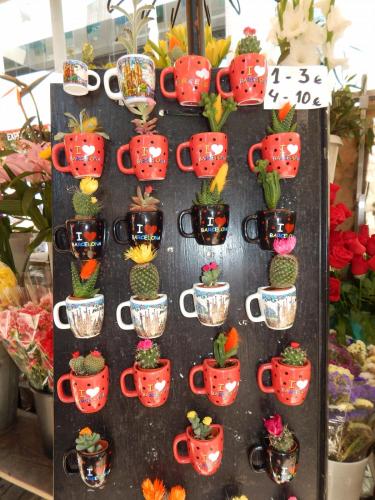 DSCN6298.JPG