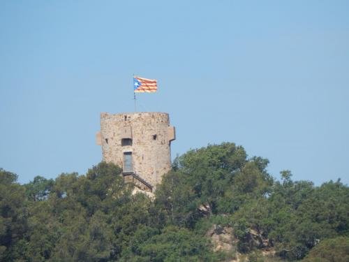 DSCN5428.JPG