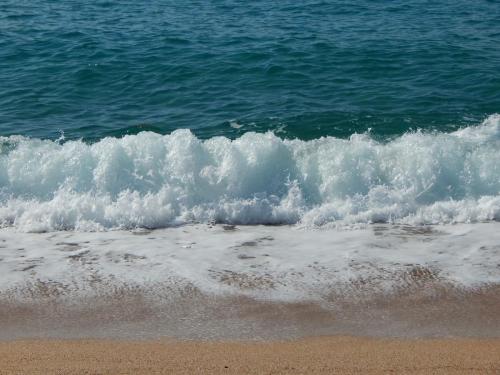 DSCN5317.JPG