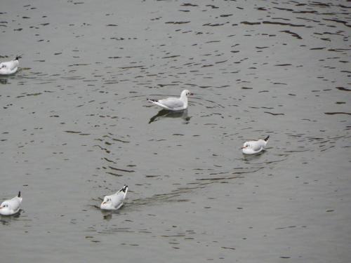 DSCN1510.JPG