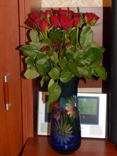 DSCN3581.JPG