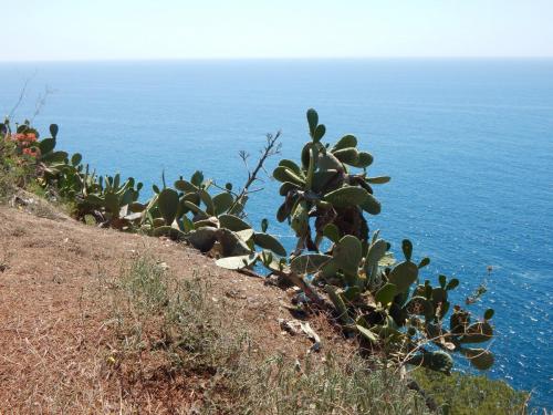DSCN5477.JPG
