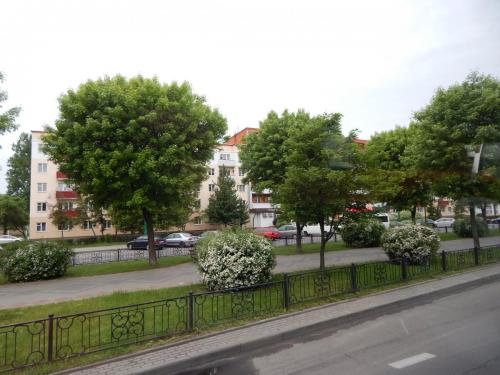 DSCN4230.JPG