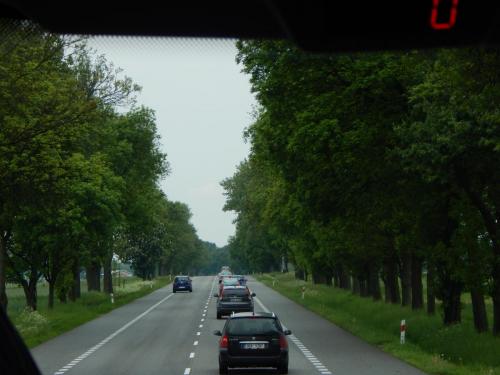 DSCN4238.JPG