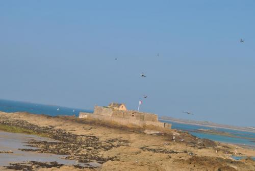 DSC_0222.JPG