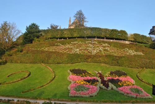 DSC_0285.JPG