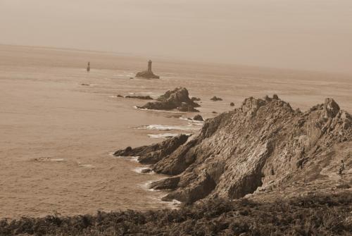 DSC_0124 сепия.jpg