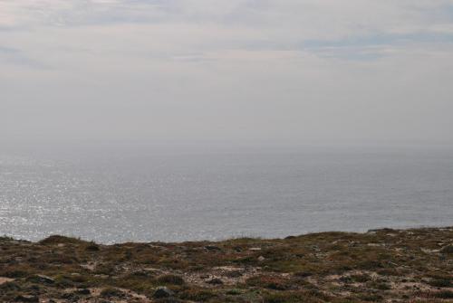 DSC_0105.JPG