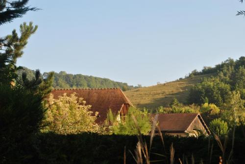 DSC_1149.JPG