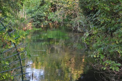 DSC_1158.JPG