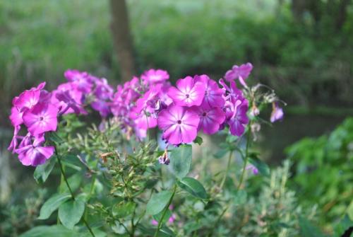 DSC_1209.JPG