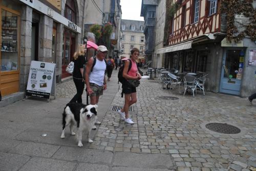 DSC_0222.JPG