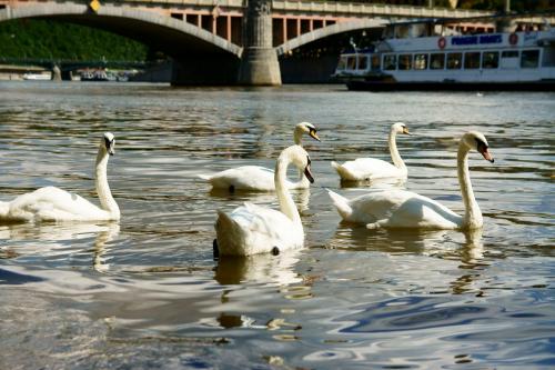 DSC02108-1.JPG