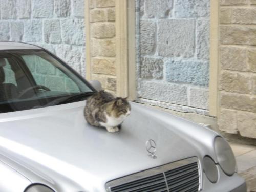 Баку2017 080.jpg