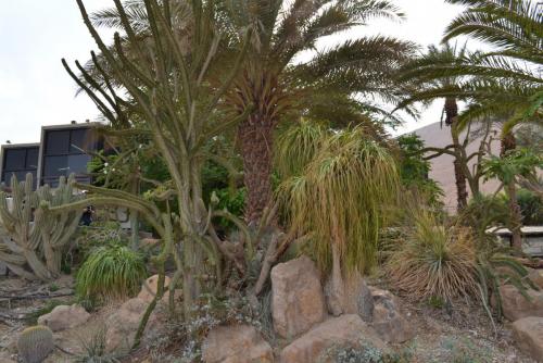 Израиль 432.jpg