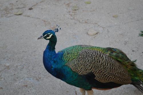 Израиль 672.jpg