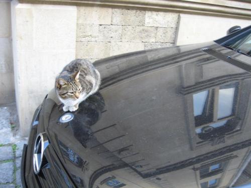 Баку2017 269.jpg