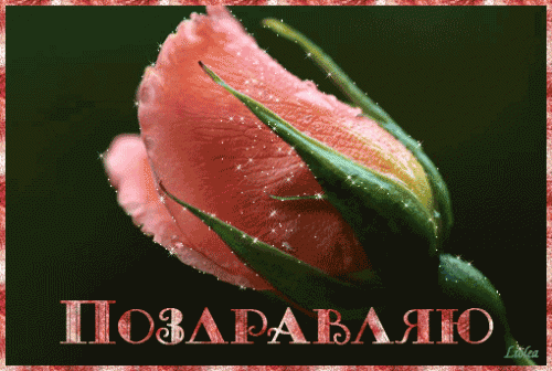 30221717_7453577md.gif
