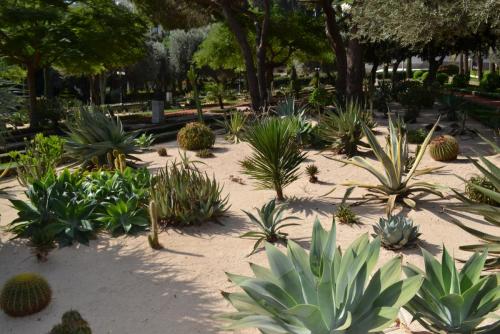 Израиль 697.jpg