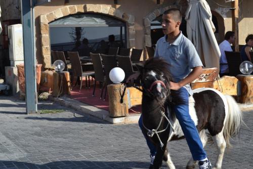 Израиль 774.jpg