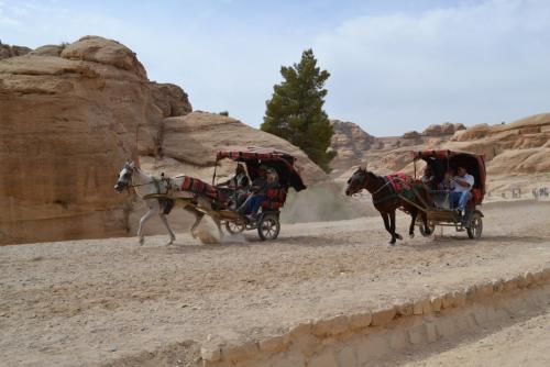 Израиль 915.jpg