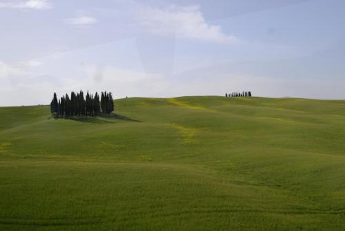 Италия 2016 702.jpg