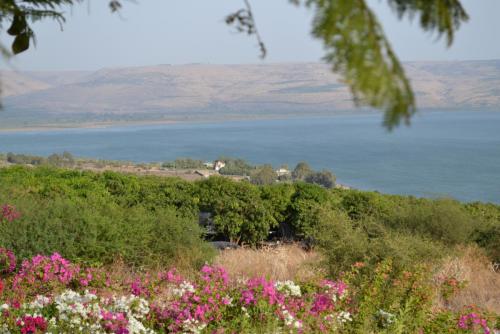 Израиль 660.jpg