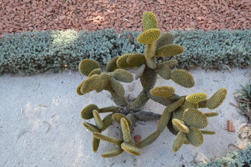 Израиль 720.jpg