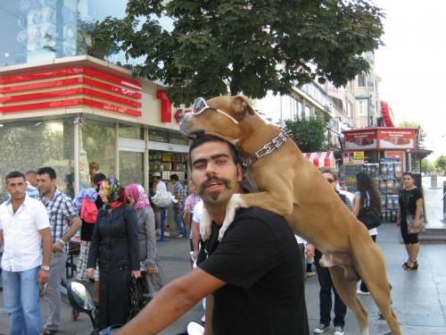 2011-Стамбул 595.jpg