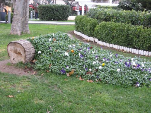 Баку2017 128.jpg