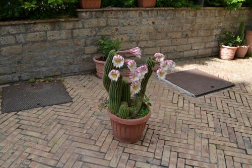 Италия 2016 907.jpg