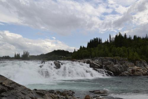 _DSC9685.JPG