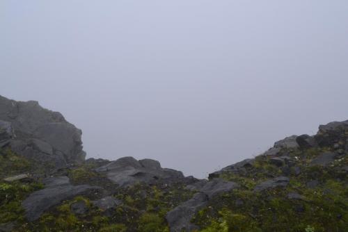 _DSC8134.JPG