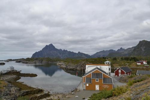 _DSC9304.JPG
