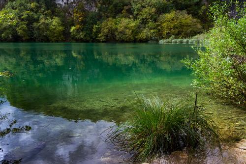 _MG_9470.jpg