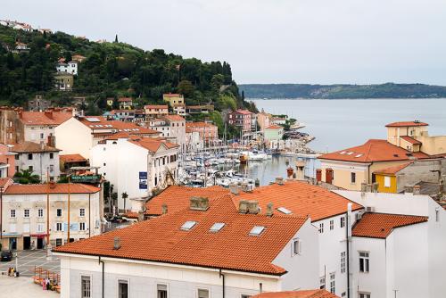 _MG_8495.jpg