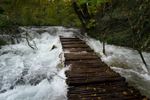 _MG_9432.jpg