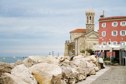 _MG_8585.jpg