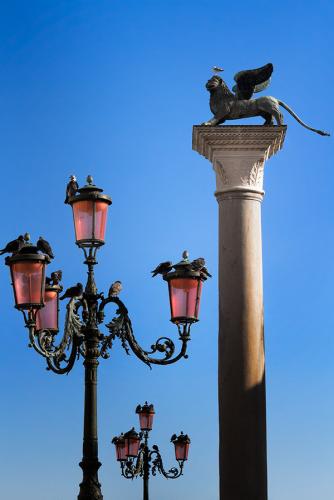 _MG_8371.jpg