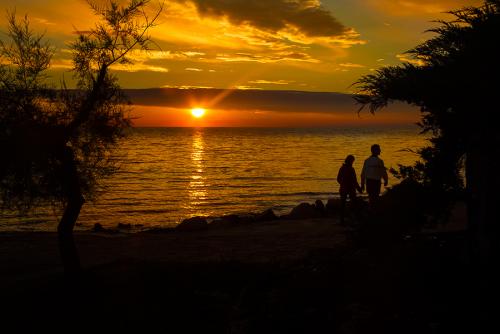 _MG_9180.jpg