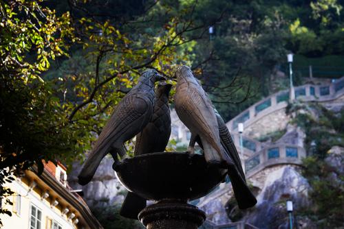 _MG_2274.jpg