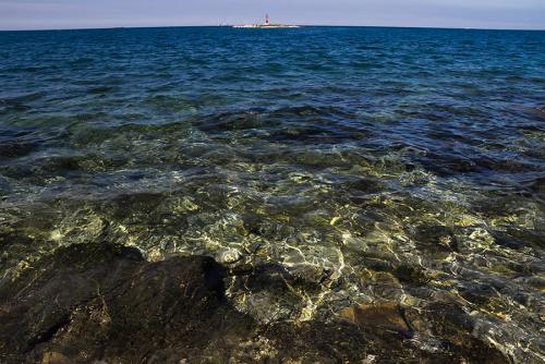_MG_9780.jpg