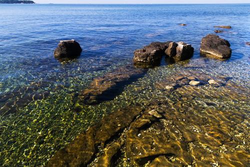 _MG_9688.jpg