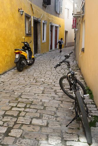 _MG_9028.jpg