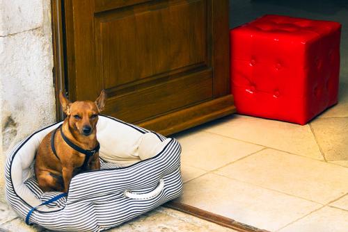 _MG_1124.jpg