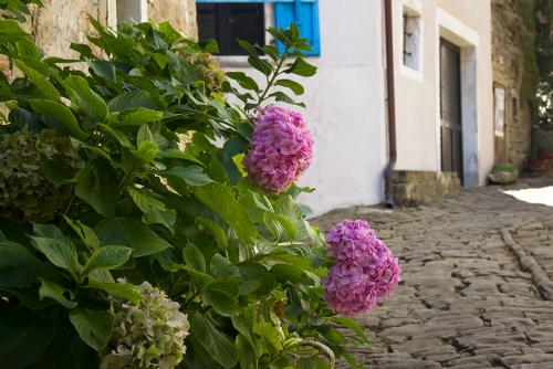 _MG_0082-1.jpg
