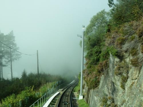 77.jpg