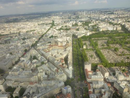 P1010553.JPG