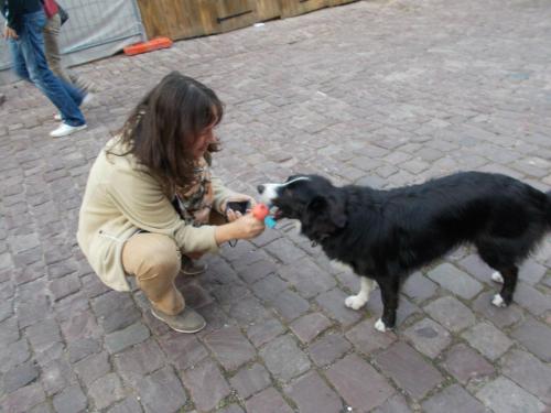 DSCN3958.JPG